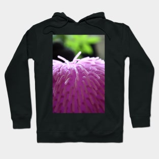 SWEET SOFTNESS Hoodie